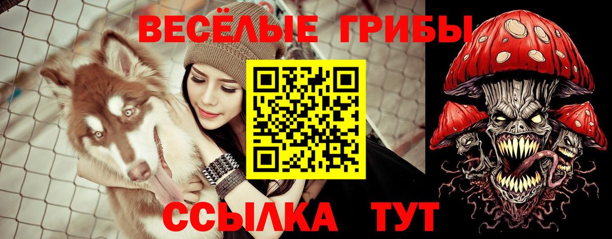 Галлюциногенные грибы Psilocybine cubensis Ливны